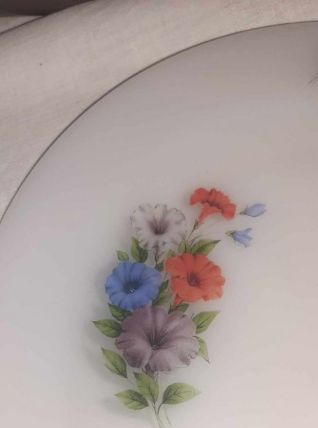 service arcopal anemones