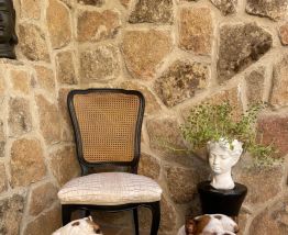 Chaise style Louis XV osier serpent