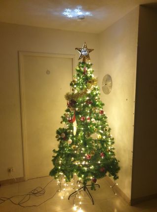 Ensemble Complet d'Arbre de Noël et Décorations Festives