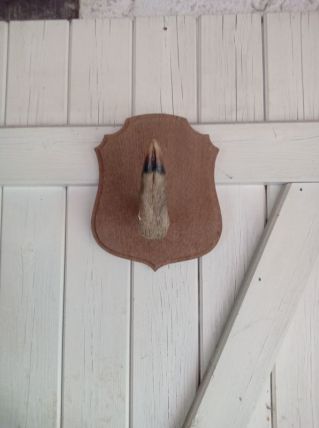 Patères x2 - porte fusil, chapeaux patte de chevreuil