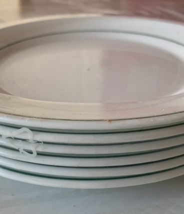 6 assiettes Arcoroc neuves