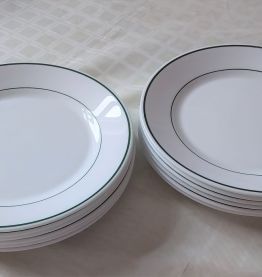 6 assiettes Arcoroc neuves