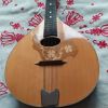 bandjo  Bouzouki Jim Harley MA10IM HARLEY MD10