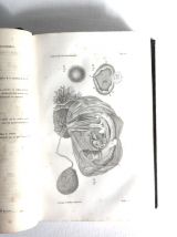Traité pratique de l'art DES ACCOUCHEMENTS Par H.F. Naegele,