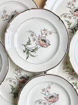 8 assiettes Ceranord "Saverne"