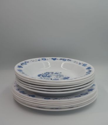 6 assiettes plate Aster