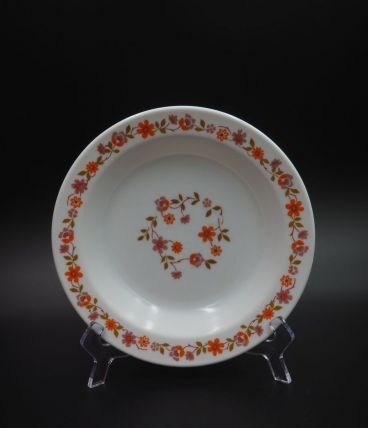 11 assiettes Arcopal Scania