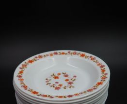 11 assiettes Arcopal Scania
