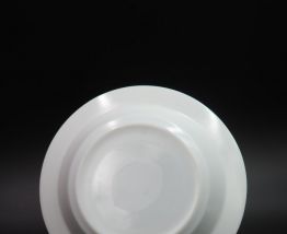 11 assiettes Arcopal Scania