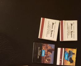 Lot de 10 boîtes allumettes vintage + 1 gratuite