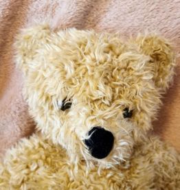 Peluche Ours beige vintage 40cm années 90