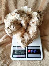 Corail Blanc Fossilisé – 1,628 kg