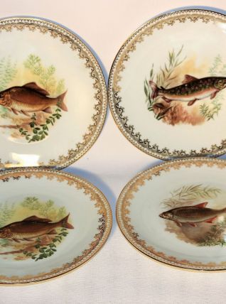 4 assiettes de Limoges - Décor de poisson. 