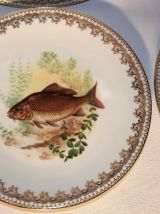 4 assiettes de Limoges - Décor de poisson. 