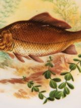 4 assiettes de Limoges - Décor de poisson. 