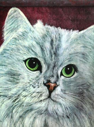 Portrait chat blanc angora aux yeux verts. 