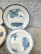 6 assiettes pexonne 