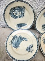 6 assiettes pexonne 