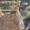 Chaise haute bois motifs Peter Rabbit