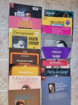 Lot de 299 Vinyles