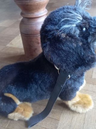 Peluche chien 