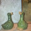 Canards 