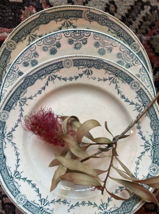 3 assiettes plates terre de fer à la bordure fleurie verte.