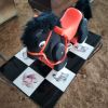 Poney Vintage Clairbois