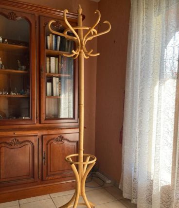 porte manteau perroquet en bois courbé