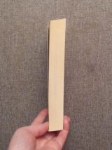 Les Cafards- Jo Nesbø- Editions Gallimard- Folio Policier   