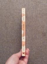 Les Histoires de Rosalie- Michel Vinaver- Castor Poche 