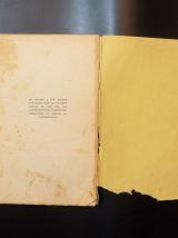Dame de Lyon- Joseph Jolinon- 1932- Les Editions Rieder 