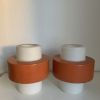 Paire suspension vintage 1960 Louis Kalff "Lierre" Philips c