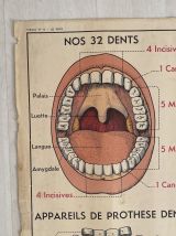 Affiche scolaire Les dents / la respiration