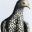 clotilde