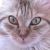 EVANGELINE22