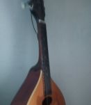 bandjo  Bouzouki Jim Harley MA10IM HARLEY MD10