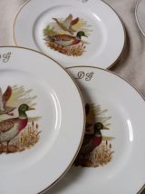 8 assiettes plates porcelaine Limoges décor gibier,  1950