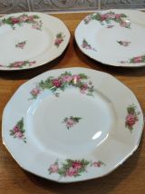 Ensemble d'Assiettes et Plat en Porcelaine de Limoges