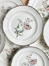 8 assiettes Ceranord "Saverne"