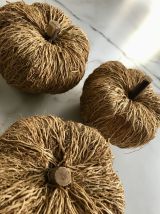 Citrouille fibres naturelles