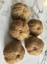 Citrouille fibres naturelles