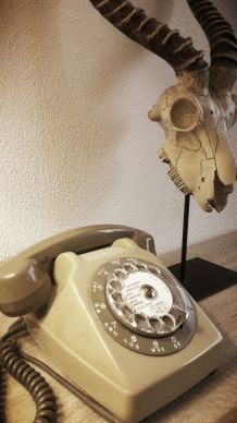 Téléphone à cadran vintage de 1983