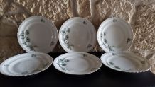 6 assiettes à dessert porcelaine motif fleuri