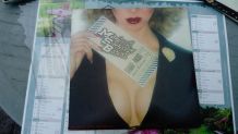 Double vinyle Michael Stanley Band ‎stage pass