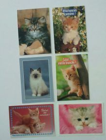 Lot de cartes postales chats