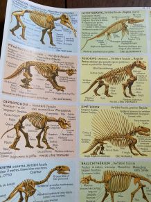 Boîte de rangement enfant Dinosaures Mini Home - El Corte Inglés