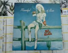 Vinyle  33T Roomful of blues Hot Little Mama 1981