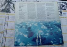 Vinyle  33T Weather report I Sing The Body Electric de 1972