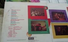 Album Vinyle Lp Savoy Brown  Jack The Toad, Eo de 1973